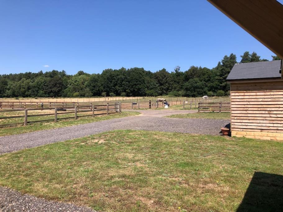 Nightjar Lodge - Adults Only Lackford 외부 사진